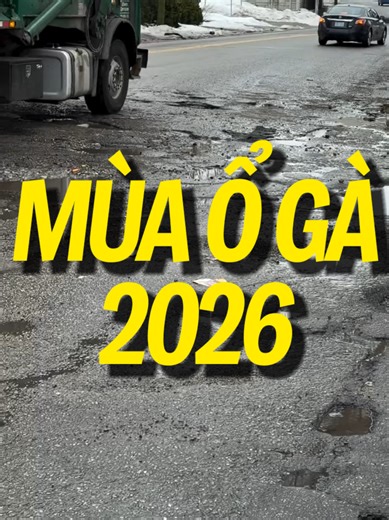 Chỉ có ở Việt Nam 🇻🇳 #massachussetts #ổ_gà #potholes