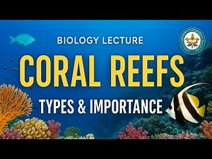 Coral Reefs | Types and Importance of Coral Reefs