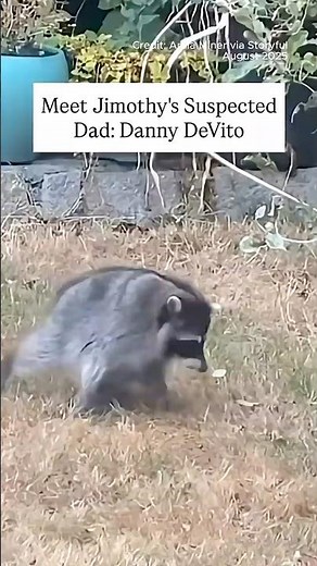 Meet Jimothy's Suspected Dad: Danny DeVito