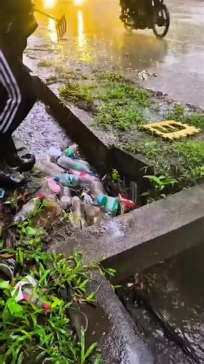 The Impact of Community Service Through Cleaning