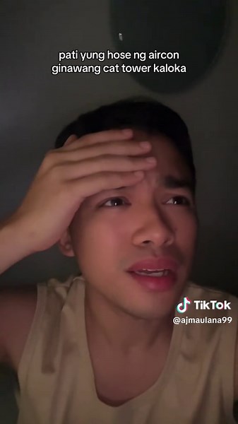 Pati sa hose ng aircon ginawang cat tower ni Moli #catsoftiktok