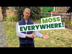 What causes Moss on your lawn? | Lawn Care Tips
