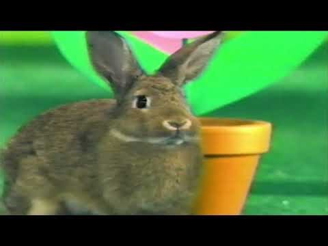Cartoon Network Easter Monkey Bumper 1