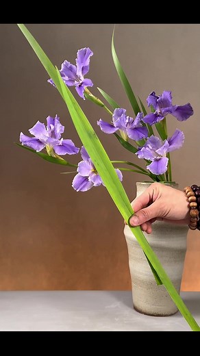 Close-Up Shots of Plant Care Techniques