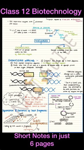 Biotechnology principles and processes Class12 Biology notes oneshot/ NCERT NEET #neet #zoology