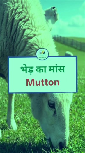 Basic words meaning in Hindi/English language/English speaking practice/spoken English/english/gk