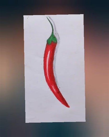 Easy Realistic Red Chili Drawing for Beginners | Color Pencil Techniques🌶️ মরিচ আঁকা