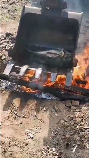 The Ultimate Guide to Fishing Nets: Types, Techniques, and Tips