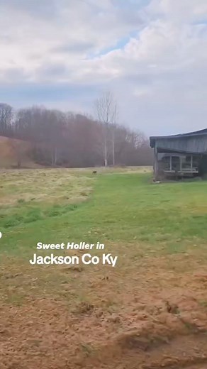 #delmccouryband #sweetappalachia #idontowncopyrightstothemusic #appalachia #kyproud #memories #love | Patty Hudson