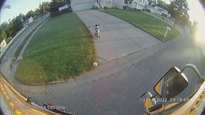 Michigan Bus Drivers Save Toddler Taken During Carjacking