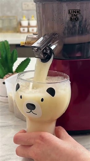 🍊 Best Juicer Machine For Home USE | Fruit Juicer Review 🥕🥤#diy #kitchengadets #gadgets #ipl #facts