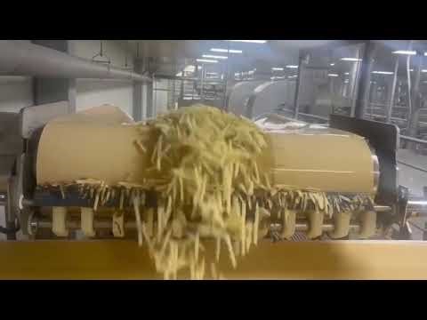 Excalibur® Food Grade Primary Belt Cleaners