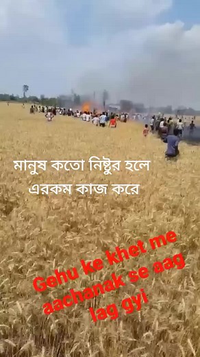 Md Imam Md Imam on TikTok