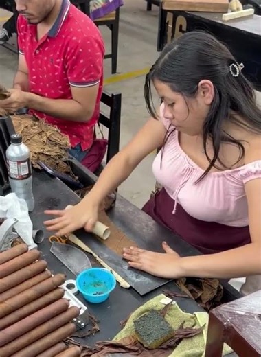 Handmade Cigars Start Like This… 🔥