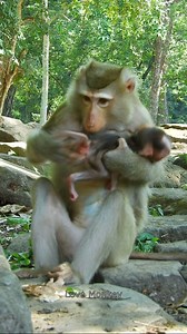 Good job!, Watch moms teaching babies. | Love Monkey