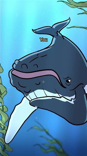 Humpback Whale 🎼🐳 #animation #original #cartoon