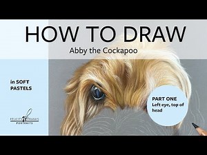 How to draw a Cockapoo - part one preview (real time tutorial on how to draw a Cockapoo eye)