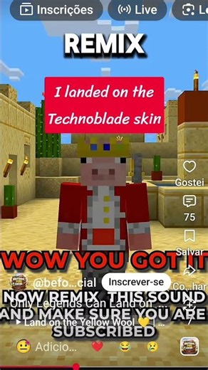 I landed on the Technoblade skin #minecraft