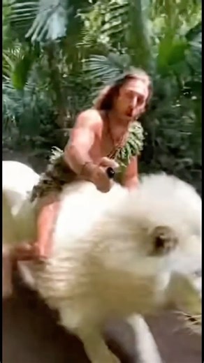 Tarzan Rides an Albino Lion — The Most Legendary Jungle Scene Ever! 🦁🤍 #whitelion #lion #animals