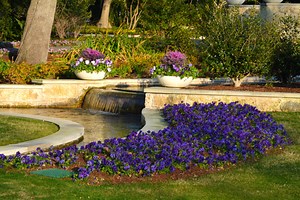 Perennials and Woody Plants | Lay Family Garden | Dallas Arboretum