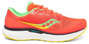 The Saucony Triumph 18 offers plush cushioning and comfort