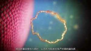 【3D动画】基因工程