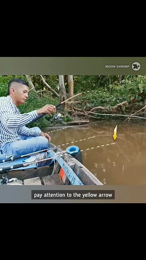 Fishing for giant shrimp in a spot with lots of tree branches #fishing #prawns #shrimp | Moon Shrimp