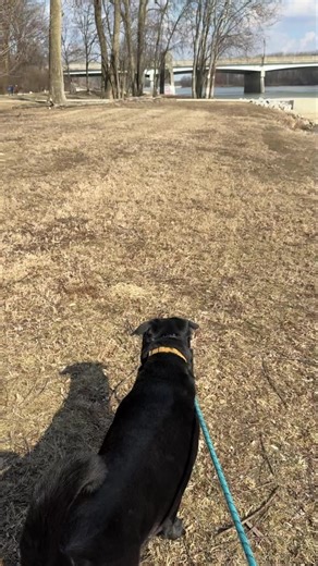 Here is a great view of the river. Eric live on the river and is super knowledgeable on the river depths. | Maumee River Walleye Run
