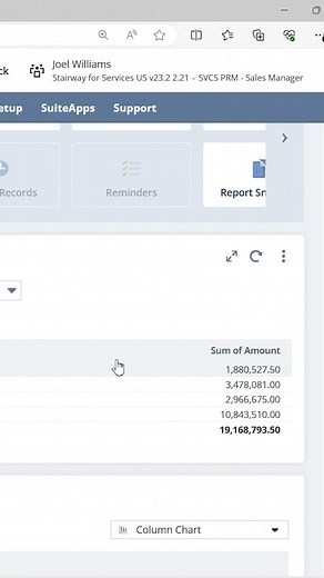 Saved Search Portlets in NetSuite