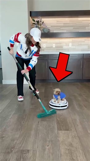 A little indoor curling practice—with a furry fan along for the ride. 🥌🐶 (via @gettishow) | #WinterOlympics | NBC Olympics & Paralympics