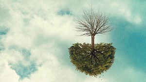 The Thinking Machine | Exhibitions | CCCB