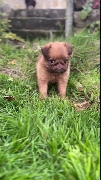 Jedi Academy: A Unique Star Wars Experience