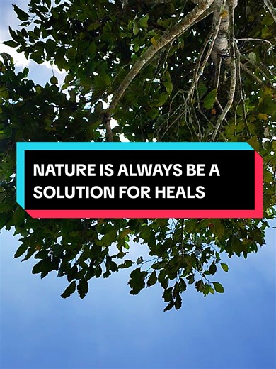 Nature is always be a solution for release the pain 🌳💚 #backtonature #peaceofmind #nature #peace #family