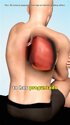 Thoracentesis (Water Removal From Lungs) Medical Animation 3D#3d #health ##surgery #doctor