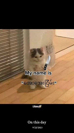 အကြံပြုထားသည့် အကောင့်များ