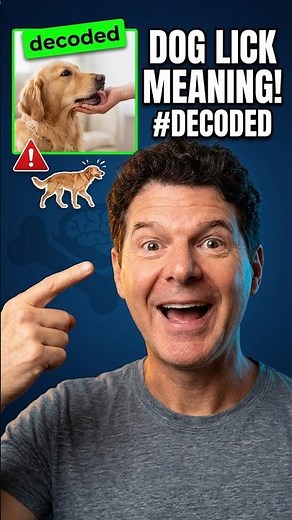 Decode Your Dog's Licks: The Full Picture Matters! #shorts