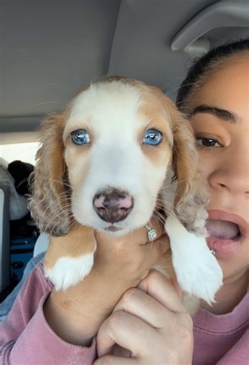 I’ll take 10 please 😩