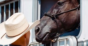A Loving Home For Retiring Military Veteran Horses After They Have Served