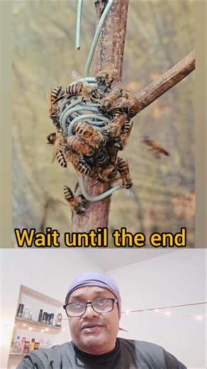 unbelievable Honey production #smartgadgets