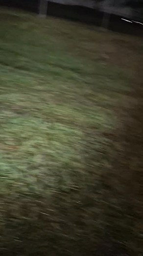 3:12 am its rabbit season | Manuel Fernandes