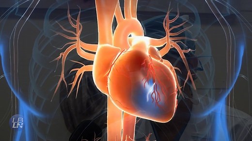 Groundbreaking research at MemorialCare Long Beach Medical Center Heart & Vascular Institute. More info: https://bit.ly/3jBgT0S | Long Beach Local News