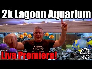 2000 Gallon Marine Community & Reef Lagoon Aquarium Goes Live!