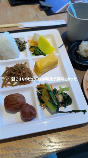 【和歌山Vlog】子連れ旅行の正解。1泊2日で白浜を遊び尽くす、大満足の家族旅🕊️｜白良浜/とれとれ市場