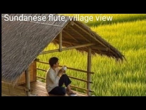 Relaxation instrument, Sundanese flute, village scenery, #traditionalmusic, #cinematic