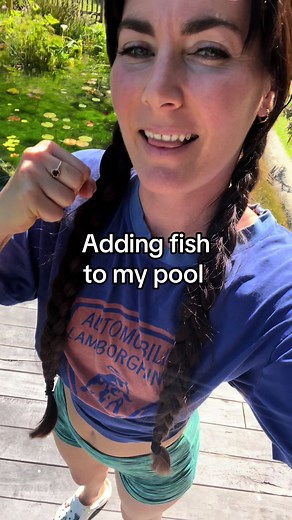 Adding Fish to My Pool