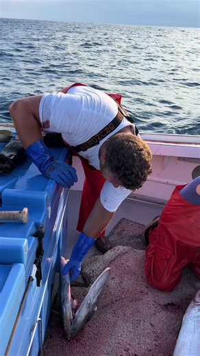 Creative Tuna Fish Halloween Costume Ideas