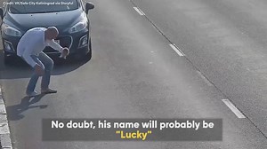 1.2M views · 19K reactions | YIKES! We just can't believe this kitten made it. Watch the terrifying moments a tiny kitten became stranded on a highway and escaped death repeatedly. | ABC7 News | Facebook