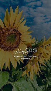 3.1K views · 1K reactions | IMAN on Reels | Facebook