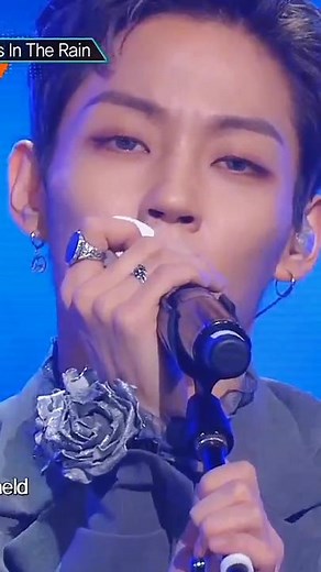 The Rose Song Lyrics - Emotional and Powerful Messages