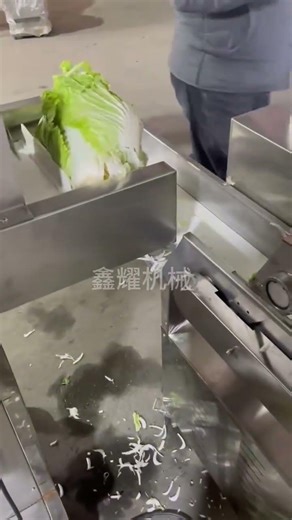 Cabbage and sauerkraut root-slicing machine #cabbageshredder #sauerkrautshredder #sauerkrautroots